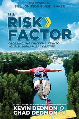 The Risk Factor (Paperback)