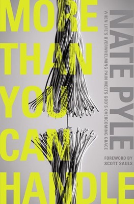 More Than You Can Handle (Paperback)