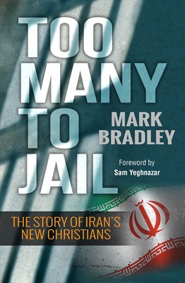 Too Many To Jail (Paperback)