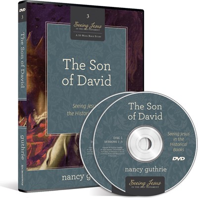 The Son of David DVD (DVD Video)