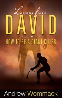 Lessons from David (Paperback)