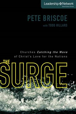 The Surge (Paperback)