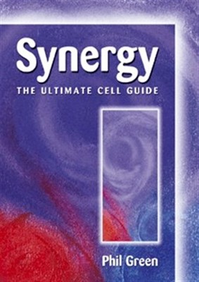 Synergy (Paperback)