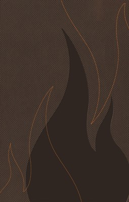 NKJV Ignite Bible for Teens Brown (Leather-Look)