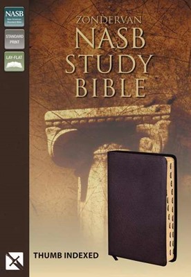 NASB Zondervan Study Bible, Burgundy, Indexed (Bonded Leather)