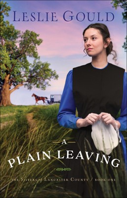 Plain Leaving, A (Paperback)