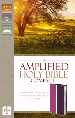 Amplified Holy Bible, Compact, Orchid/Plum (Leather-Look)