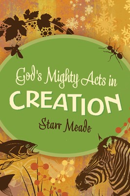 God's Mighty Acts In Creation (Paperback)