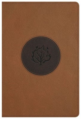 KJV I Am Bible, Brown Leathertouch, Indexed (Imitation Leather)