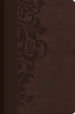 RVR 1960 Biblia de Estudio para Mujeres, café símil piel (Imitation Leather)