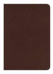 NVI Santa Biblia - Edicion Regalo - Cafe Marron (Leather Binding)