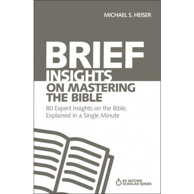 Brief Insights On Mastering The Bible (Paperback)