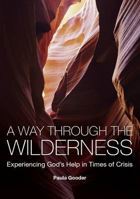Way Through The Wilderness, A (Paperback)