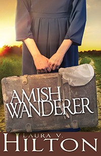 The Amish Wanderer (Paperback)