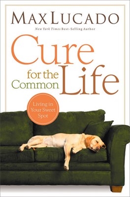 Cure For The Common Life (Paperback)