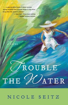 Trouble the Water (Paperback)