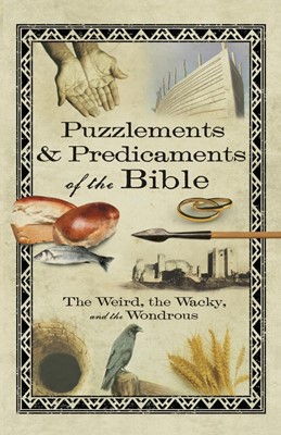 Puzzlements & Predicaments of the Bible (Paperback)