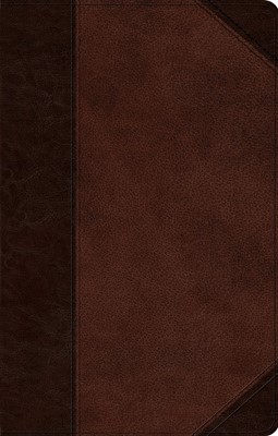 ESV Ultrathin Bible, Trutone, Brown/Walnut, Portfolio Design (Imitation Leather)