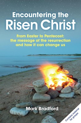 Encountering The Risen Christ (Paperback)