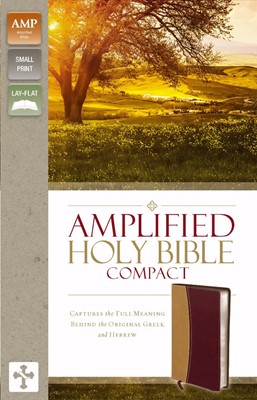 Amplified Holy Bible, Compact, Camel-Burgundy (Leather-Look)