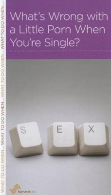 What's Wrong With A Little Porn When You're Single? (Paperback)