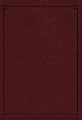 NKJV Study Bible, Red, Comfort Print, Red Letter Ed, Indexed (Imitation Leather)