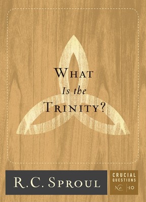 What Is The Trinity? (Paperback)