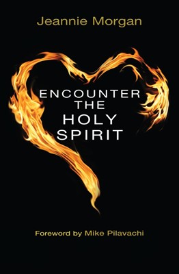 Encounter The Holy Spirit (Paperback)