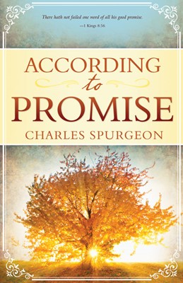 According To Promise (Paperback)