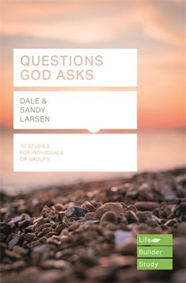 Lifebuilder: Questions God Asks (Paperback)