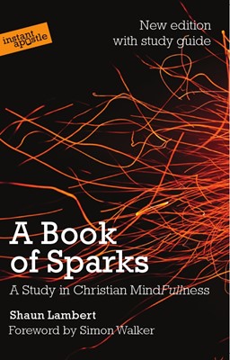 Book Of Sparks, A (Paperback)