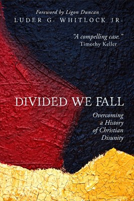 Divided We Fall (Paperback)