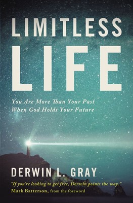 Limitless Life (Paperback)