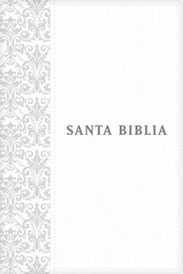 NTV Santa Biblia EdicióN Personal, Letra Grande (Imitation Leather)