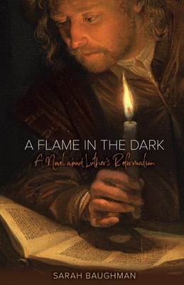 Flame In The Dark, A (Paperback)