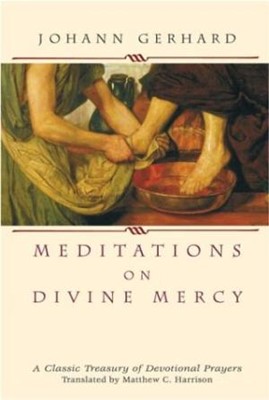 Meditations On Divine Mercy (Paperback)