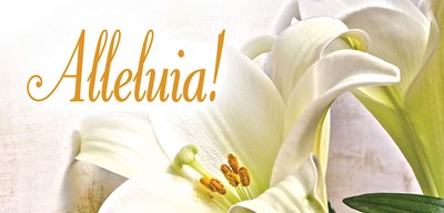 Alleluia! Easter Lilies Offering Envelope (Pkg of 50) (Loose-leaf)