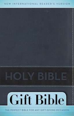 NIRV Gift Bible Slate Blue (Imitation Leather)
