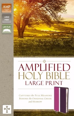 Amplified Holy Bible, Large Print, Orchid/Plum (Leather-Look)