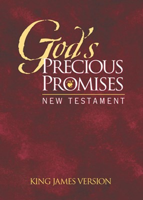 KJV God's Precious Promises New Testament (Paperback)