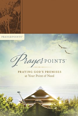 Prayerpoints (Paperback)