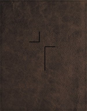 NIV Jesus Bible (Leather Binding)