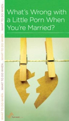 What's Wrong With A Little Porn When You're Married? (Paperback)