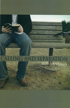 Calling And Separation (Paperback)