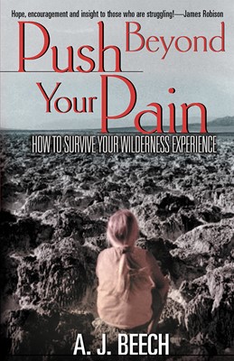 Push Beyond Your Pain (Paperback)