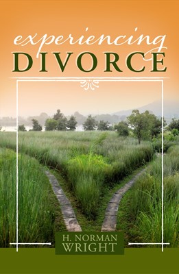Experiencing Divorce (Paperback)
