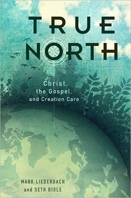 True North (Paperback)