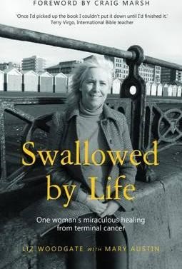 Swallowed by Life (Paperback)