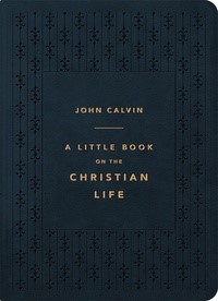 Little Book On The Christian Life, A (Imitation Leather)