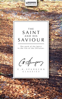 The Saint and his Saviour (Paperback)